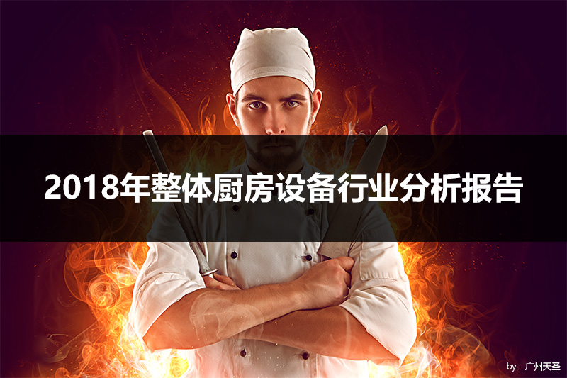 2018年整体厨房设备行业分析报告