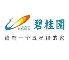 广东碧桂园学校国际小学餐厅改造工程