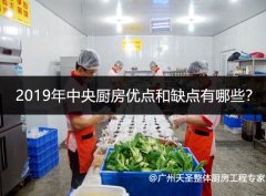 2019年中央整体厨房设计优点和缺点有哪些？